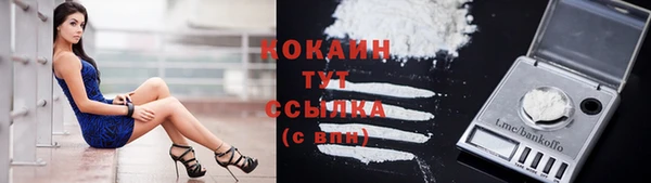 марки lsd Белокуриха