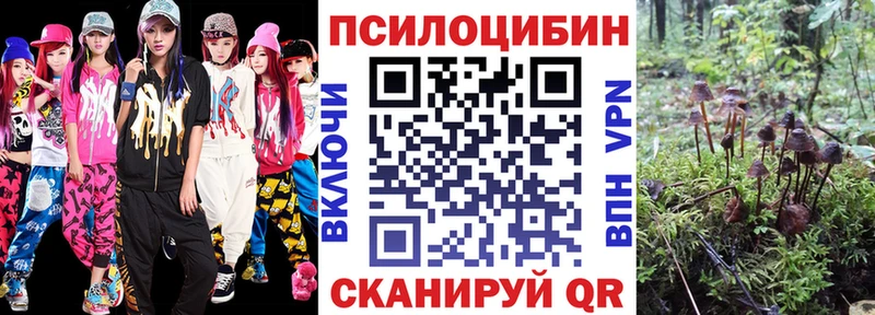 магазин    Вельск  Галлюциногенные грибы Magic Shrooms 